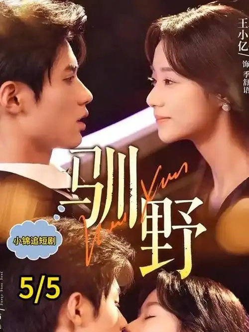 老牛影院在线观看 山河故人录 历史剧